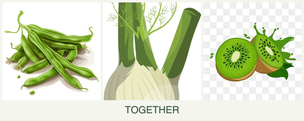 Can you plant beans, fennel and kiwi together?