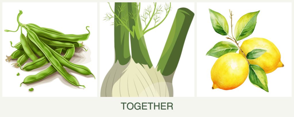 Can you plant beans, fennel and lemons together?