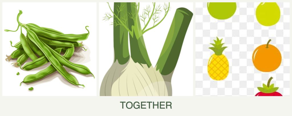 Can you plant beans, fennel and pears together?
