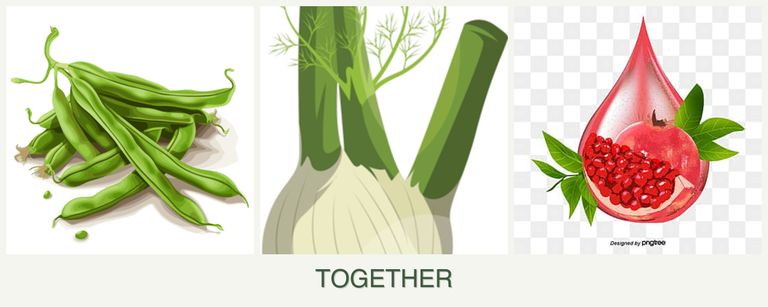 Can you plant beans, fennel and pomegranates together?