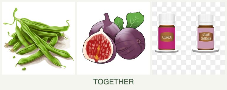 Can you plant beans, figs and geraniums together?