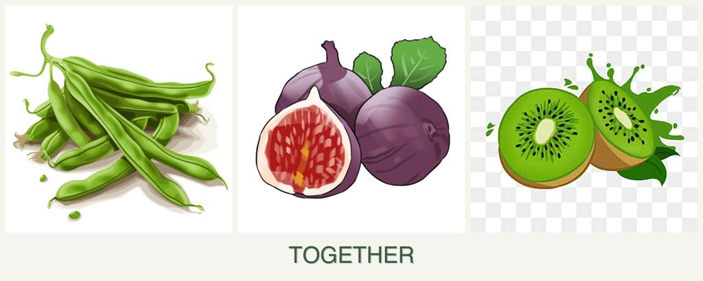 Can you plant beans, figs and kiwi together?