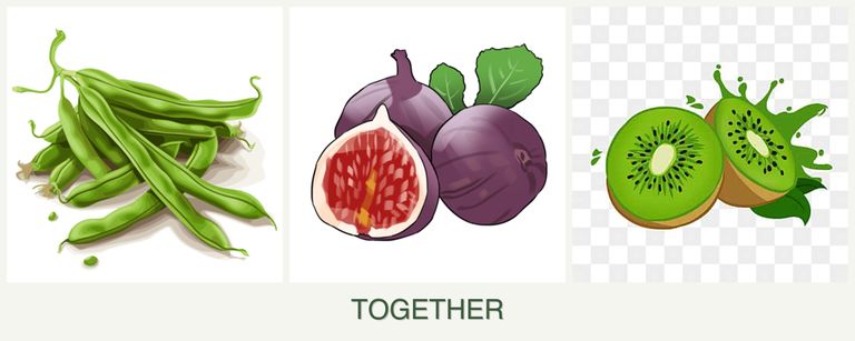 Can you plant beans, figs and kiwi together?