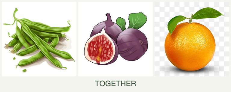 Can you plant beans, figs and oranges together?