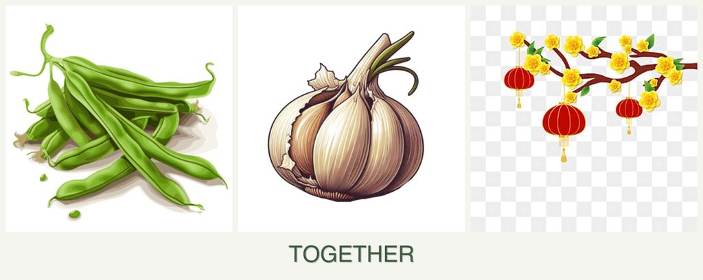 Can you plant beans, garlic and apricots together?