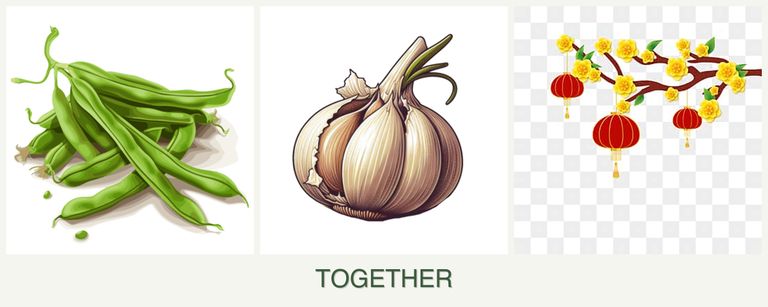 Can you plant beans, garlic and apricots together?