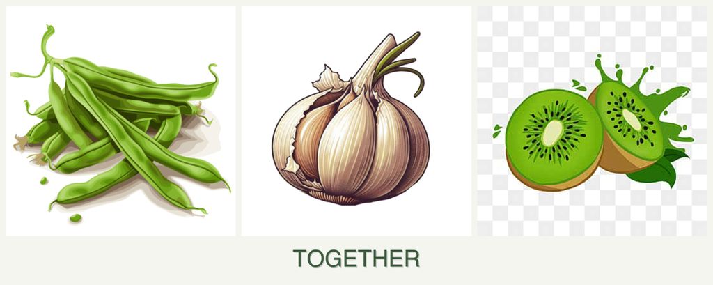 Can you plant beans, garlic and kiwi together?