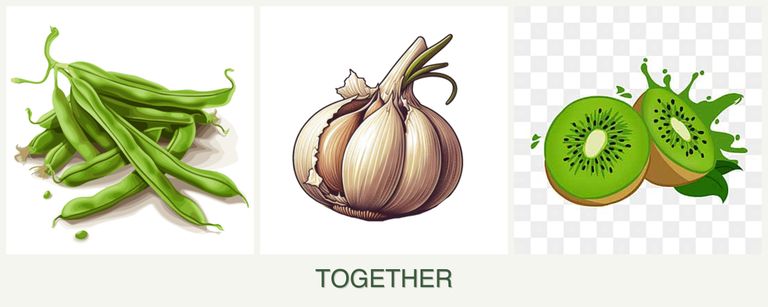 Can you plant beans, garlic and kiwi together?
