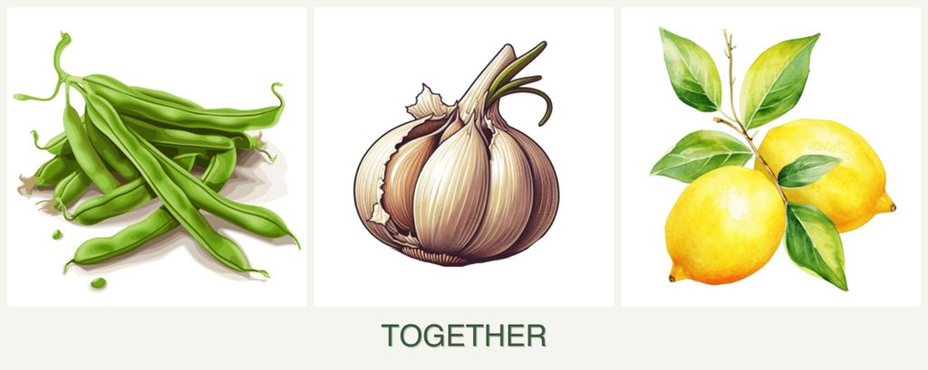 Can you plant beans, garlic and lemons together?
