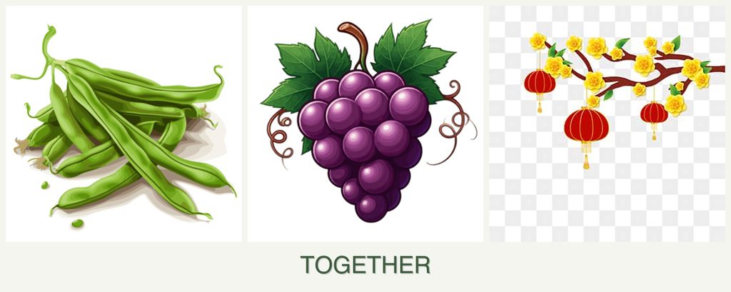 Can you plant beans, grapes and apricots together?