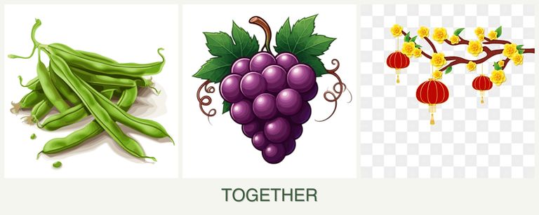 Can you plant beans, grapes and apricots together?