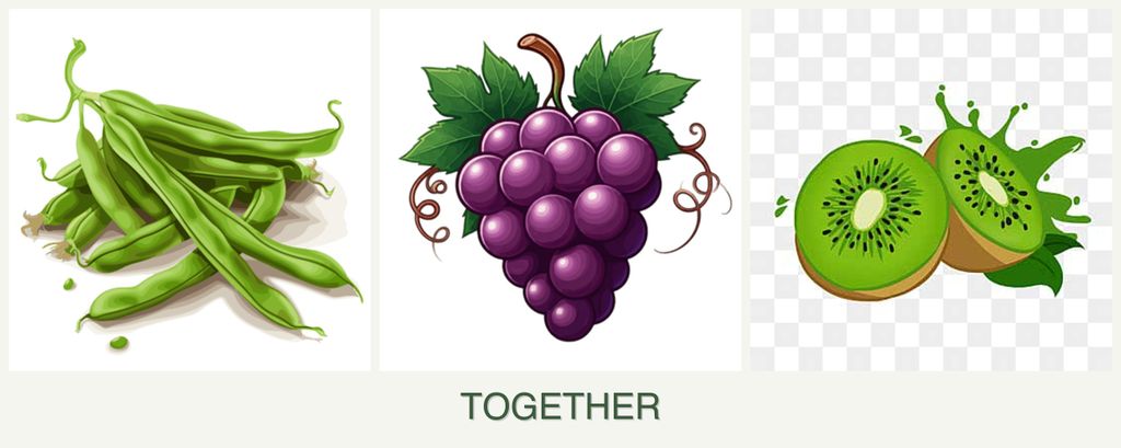 Can you plant beans, grapes and kiwi together?