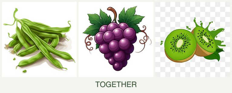 Can you plant beans, grapes and kiwi together?