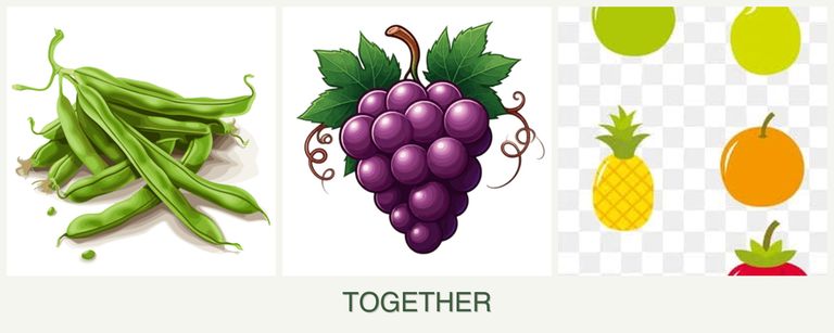 Can you plant beans, grapes and pears together?