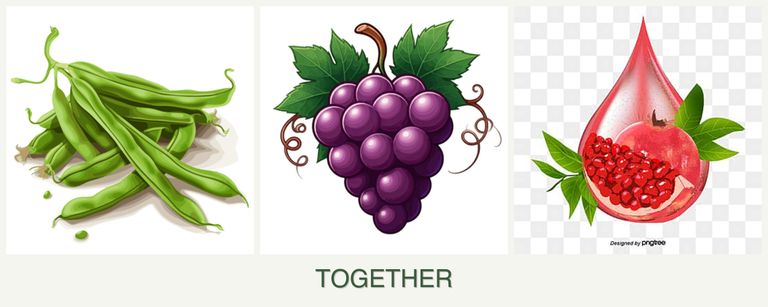 Can you plant beans, grapes and pomegranates together?