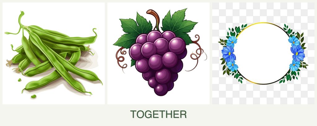 Can you plant beans, grapes and zinnias together?