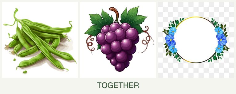 Can you plant beans, grapes and zinnias together?