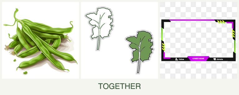 Can you plant beans, kale and limes together?