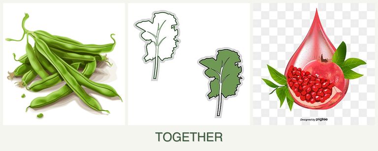 Can you plant beans, kale and pomegranates together?