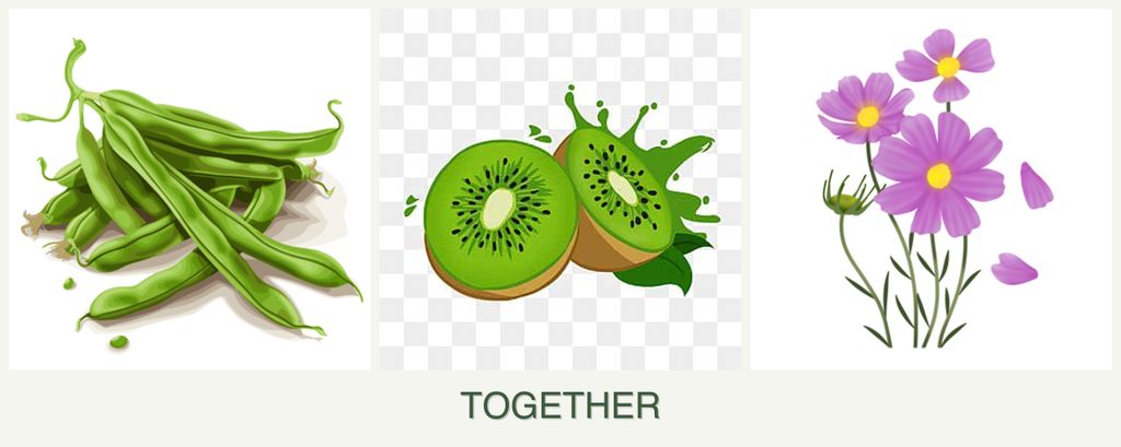 Can you plant beans, kiwi and cosmos together?
