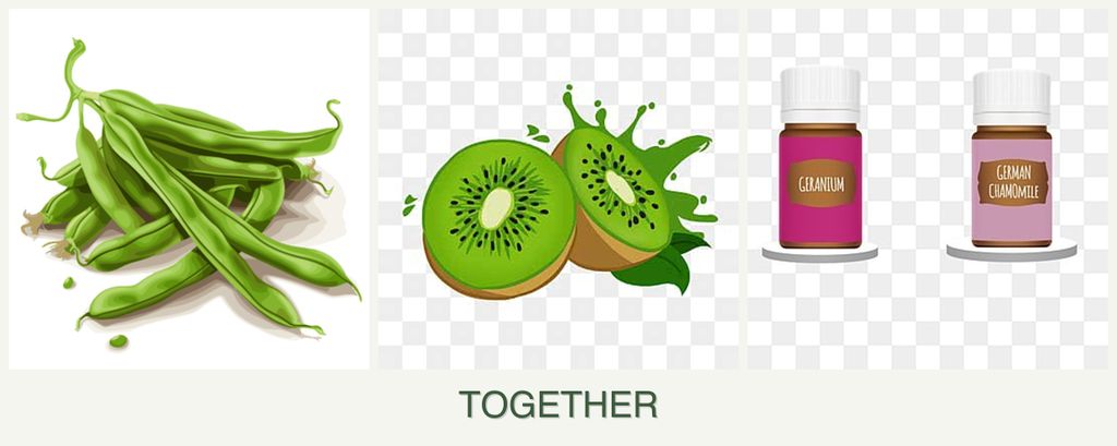 Can you plant beans, kiwi and geraniums together?