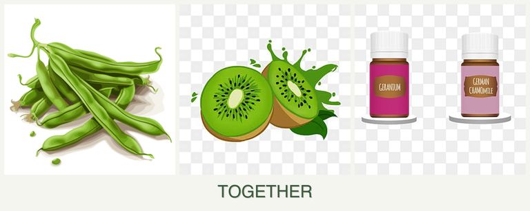 Can you plant beans, kiwi and geraniums together?