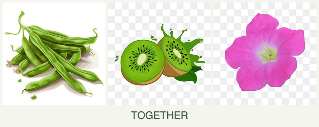Can you plant beans, kiwi and petunias together?