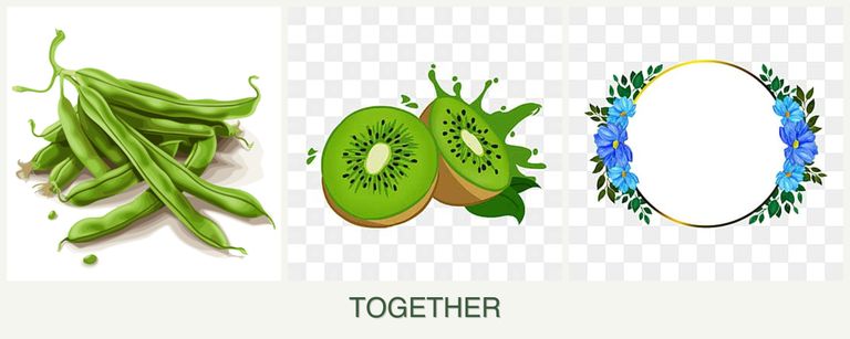 Can you plant beans, kiwi and zinnias together?