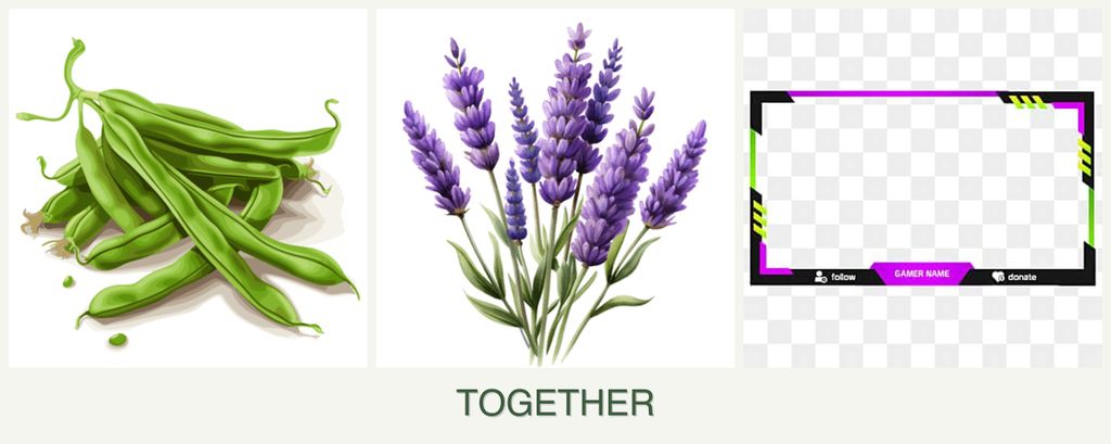 Can you plant beans, lavender and limes together?
