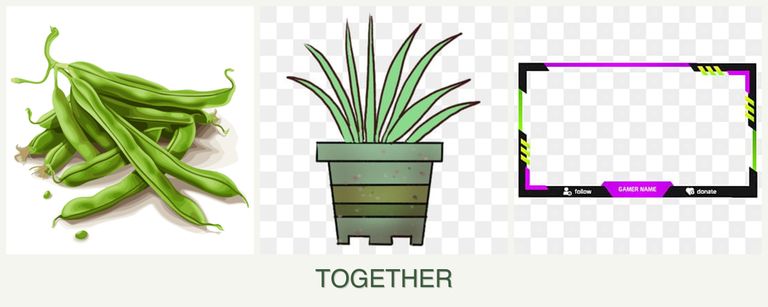 Can you plant beans, lemongrass and limes together?
