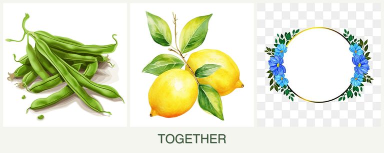 Can you plant beans, lemons and zinnias together?