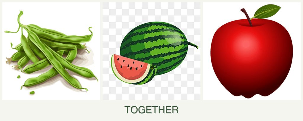 Can you plant beans, melons and apples together?