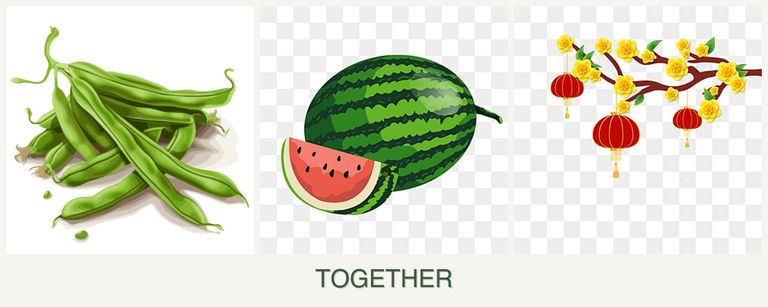 Can you plant beans, melons and apricots together?