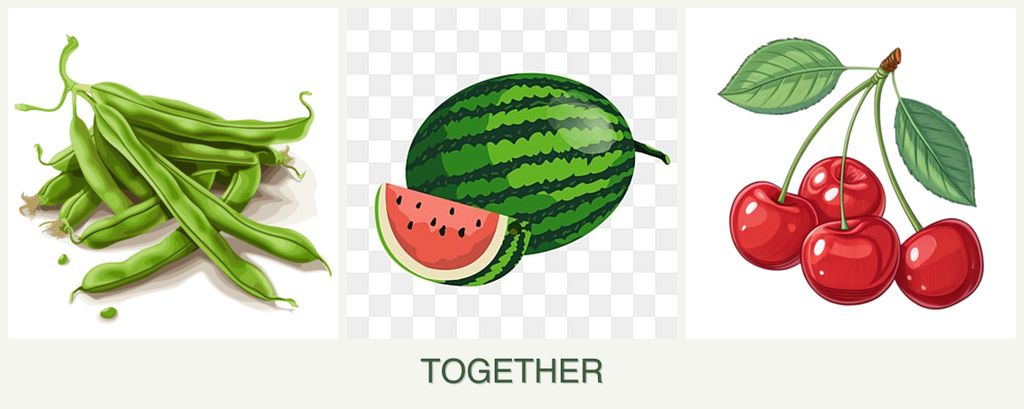 Can you plant beans, melons and cherries together?