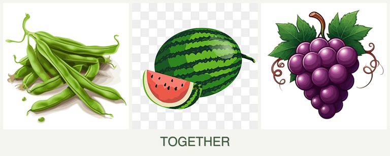 Can you plant beans, melons and grapes together?