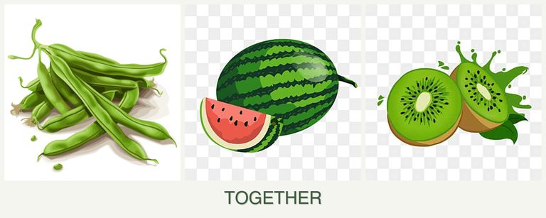 Can you plant beans, melons and kiwi together?