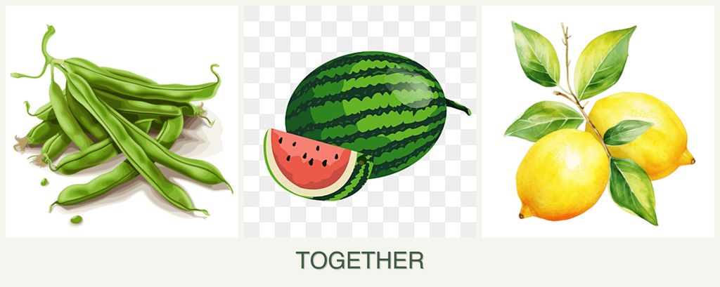 Can you plant beans, melons and lemons together?