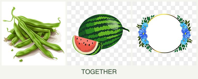 Can you plant beans, melons and zinnias together?