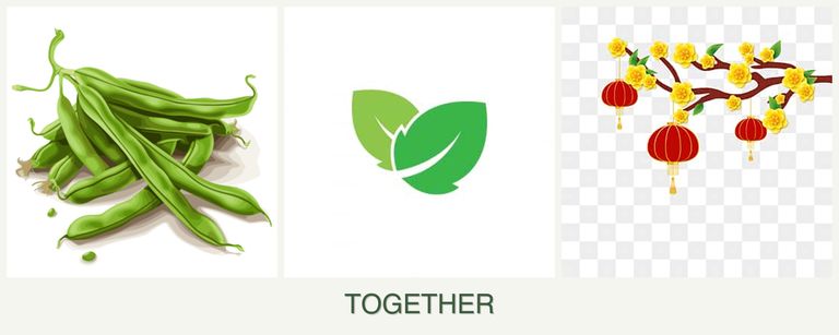Can you plant beans, mint and apricots together?