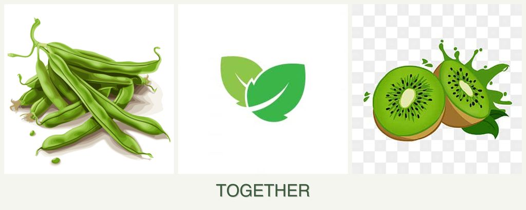 Can you plant beans, mint and kiwi together?