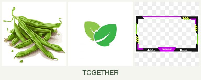 Can you plant beans, mint and limes together?