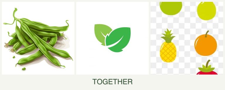 Can you plant beans, mint and pears together?