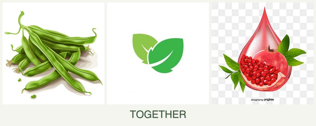 Can you plant beans, mint and pomegranates together?