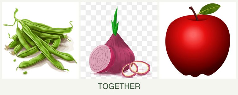Can you plant beans, onions and apples together?