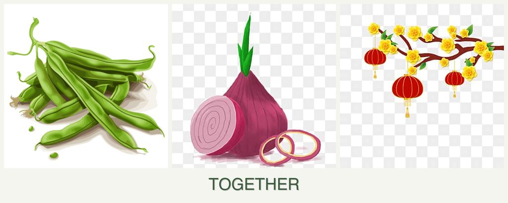 Can you plant beans, onions and apricots together?