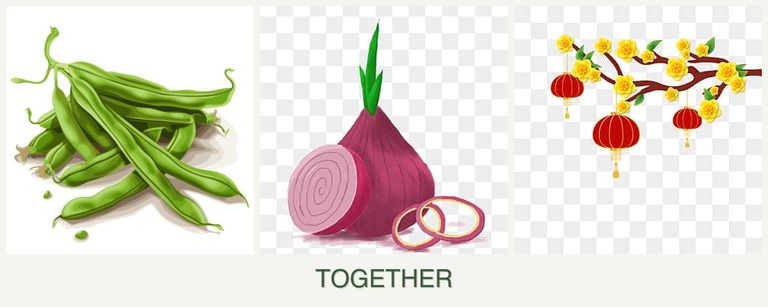 Can you plant beans, onions and apricots together?