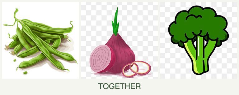 Can you plant beans, onions and broccoli together?