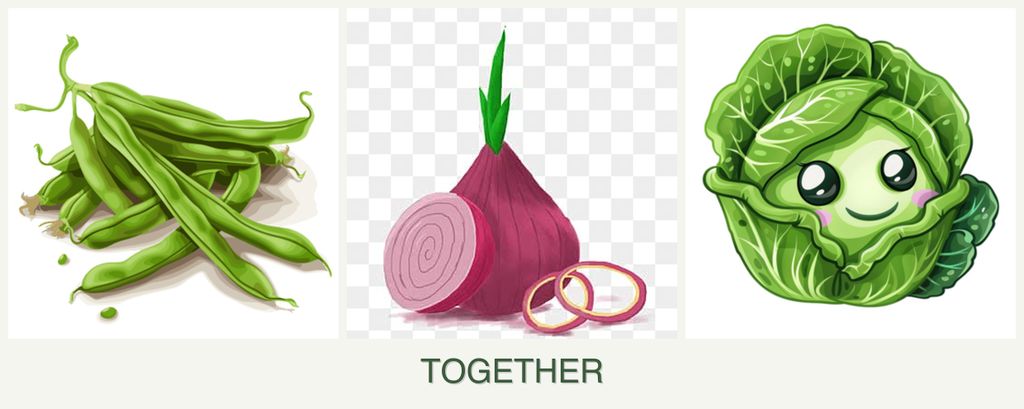 Can you plant beans, onions and cabbage together?