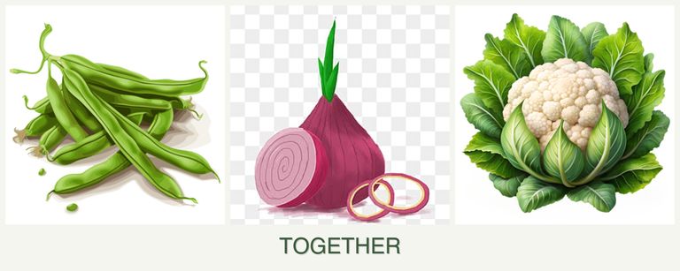 Can you plant beans, onions and cauliflower together?