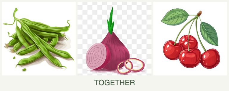 Can you plant beans, onions and cherries together?